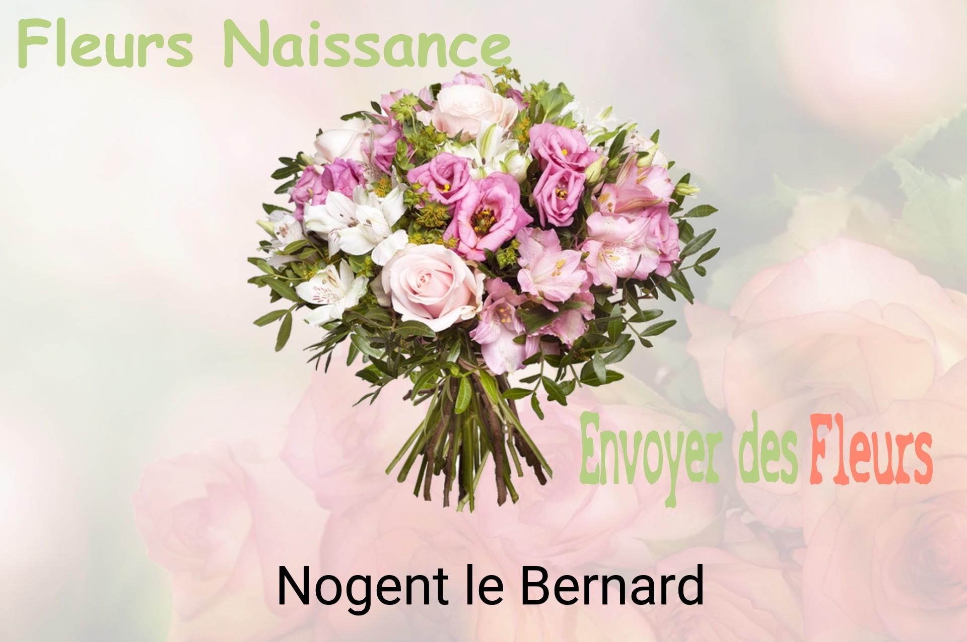 Bouquet de fleurs de naissance livré à Nogent-le-Bernard