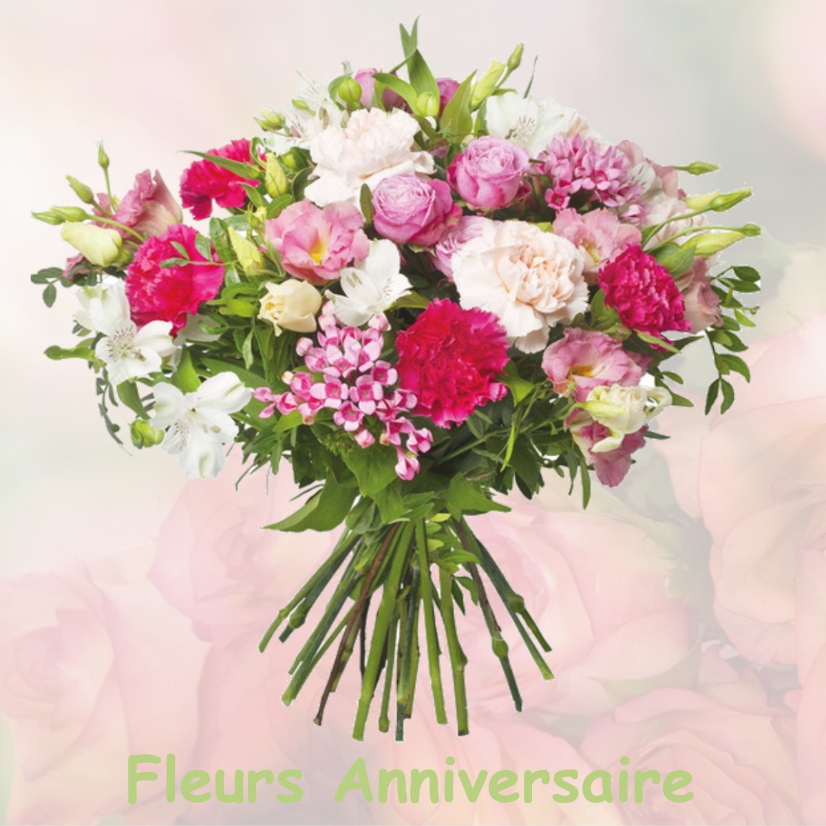 fleurs anniversaire NOGENT-LE-BERNARD